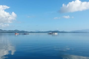Private Puerto Princesa Luli, starfish, cowrie island excursion