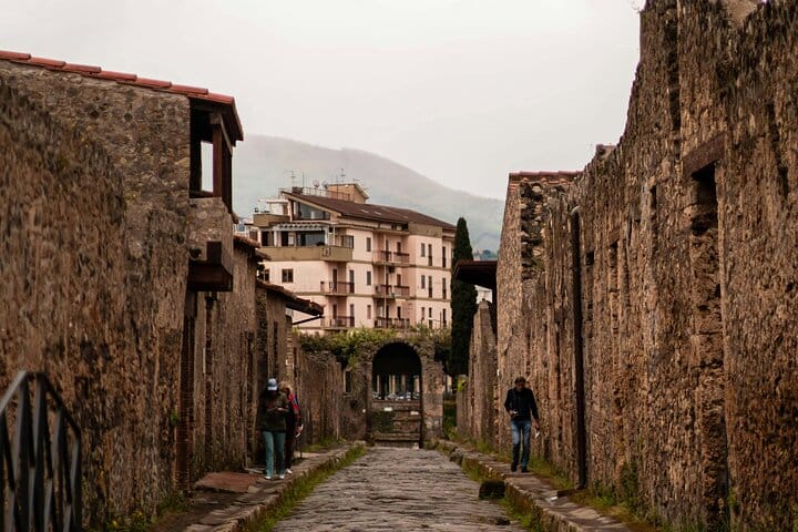Private Half-Day Sightseeing Tour of Vesuvius National Park