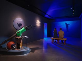 Húsavík Whale Museum Ticket, photo 12