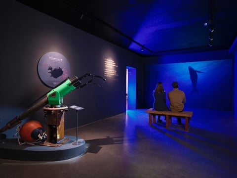Húsavík Whale Museum Ticket, photo 12