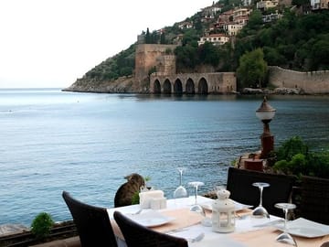 Alanya Seafront Dinner Experience by the Red Tower