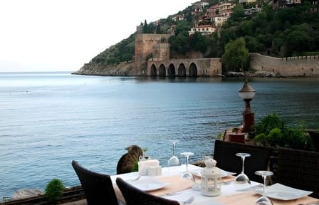 Alanya Seafront Dinner Experience by the Red Tower