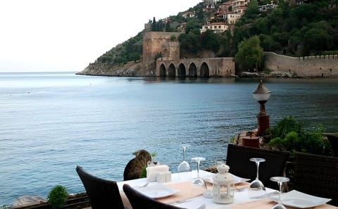 Alanya Seafront Dinner Experience by the Red Tower