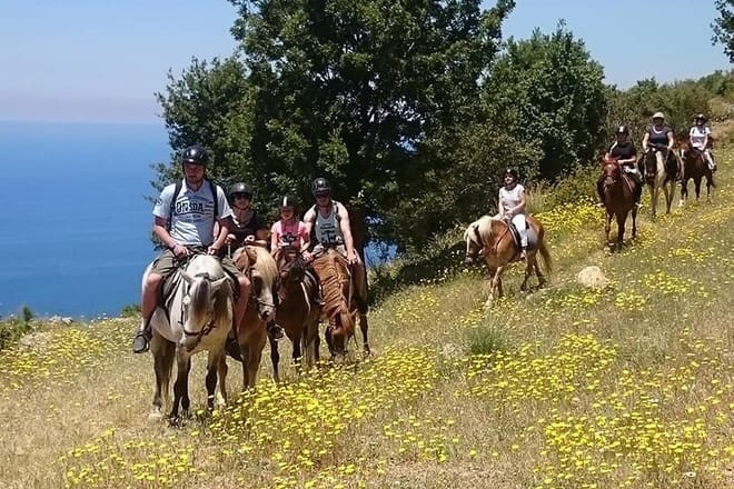 Horse Riding in Fethiye 5
