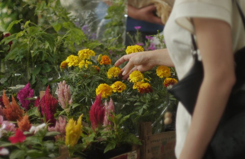 Porta Palazzo Market Tour from Torino