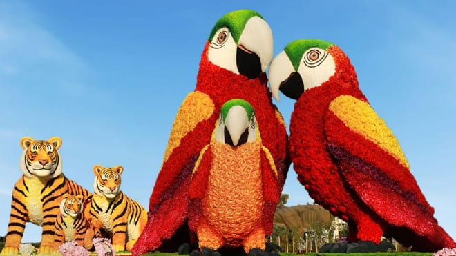 Dubai Garden Glow Tickets