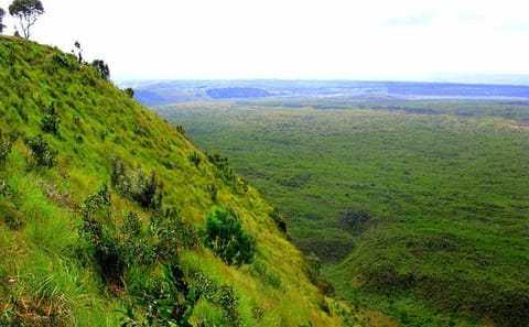 8 Days, 7 Nights Safari – Lake Nakuru, Maasai Mara, Naivasha and Amboseli Park
