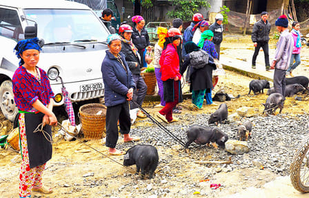 Trekking on the Trails of Northern Vietnam 9 days 8 nights