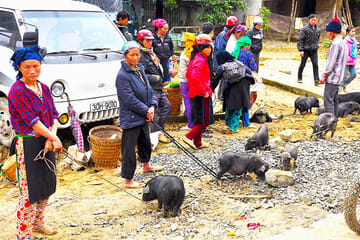 Trekking Adventure in Northern Vietnam: 9 Days in Ha Giang