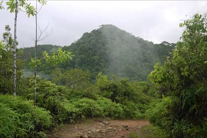 Sinharaja Rain Forest Tour from Hambantota