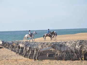 Half-Day Horseback Riding Tour in Kalpitiya, Sri Lanka