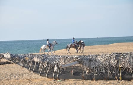 Half-Day Horse Riding in Kalpitiya