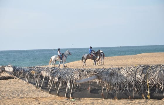 Half-Day Horse Riding in Kalpitiya