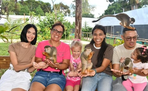 Family ATV Adventure and Monkey Sanctuary Visit in Puerto Plata