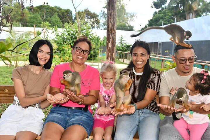 Damajagua Waterfalls and Monkey Private Van Tour