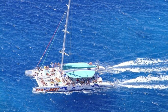 Cabo Girão Skywalk, Vineyards, Wine Tasting Tour in Open Roof 4x4 & Dolphin Watching