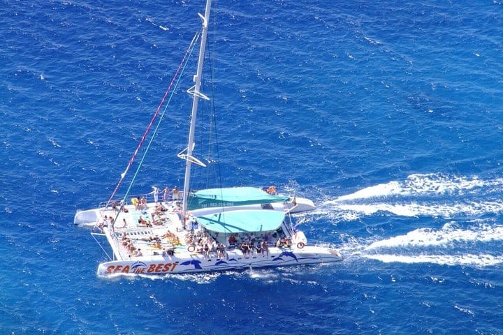 Cabo Girão Skywalk, Vineyards, Wine Tasting Tour in Open Roof 4x4 & Dolphin Watching