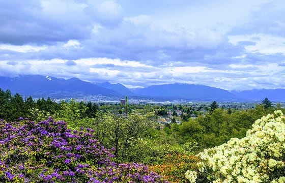 Vancouver 7 hours Airport Layover (MAKE THE MOST) CityTour Private