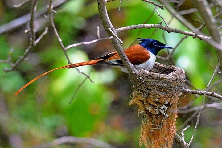 Nuratau Village Home Stay and Hiking tours from Bukhara