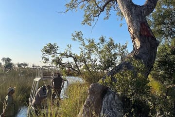 8-Day Adventure Tour of Victoria Falls, Chobe, and Okavango Delta