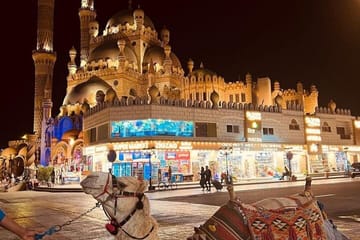 Private City Tour with Egyptologist in Sharm El Sheikh