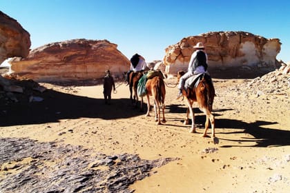 Egyptian Safari in The White & Black Desert & Oasis Private Adventure (8 Days)