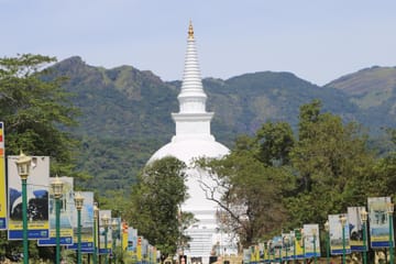 Four-Day Adventure Tour of Colombo and Kandy, Sri Lanka