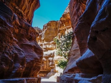 Petra