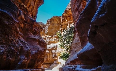 Private 4-Night Tour of Petra, Wadi Rum, Aqaba, and Dead Sea