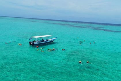 Roatan North Side Mangroves, Starfish, Shipwreck Snorkeling & Transportation