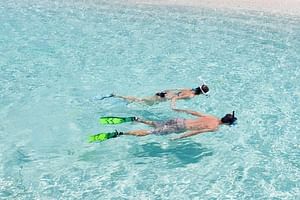 Catalina Island Scuba Diving and Snorkeling Tour from Punta Cana