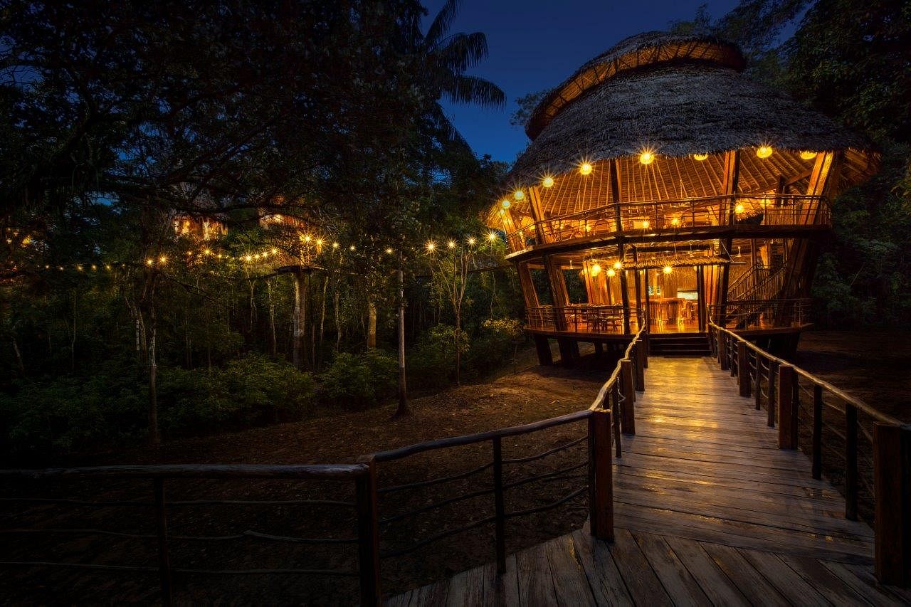 Amazon Jungle Adventure at Treehouse Lodge - Swim with Dolphins & Explore