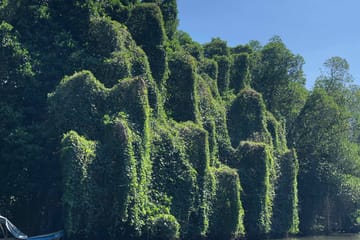 05 Nights/06 Days Beach & Safari Tour