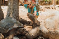 Prison Island and Giant Tortoises Half Day Local Boat Trip 5
