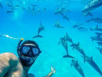 Full-Day Dolphin Swim and Snorkeling Tour in Hurghada
