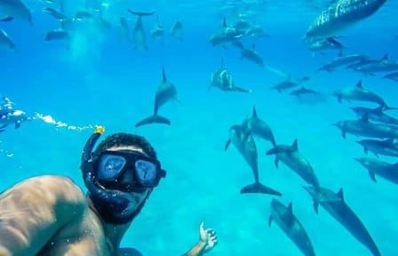 Full-Day Dolphin Swim and Snorkeling Tour in Hurghada