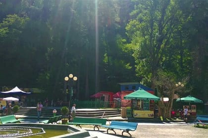 Georgia Wellness Escape: 8 Days/7 Nights Package