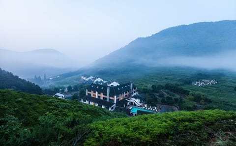 Private Two-Day Tour to Moganshan from Shanghai