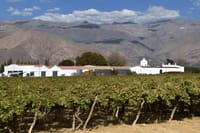 Cafayate Cachi and Hornocal Beauty of Three Worlds 10