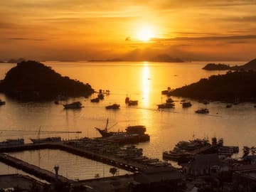 Explore Komodo National Park on a 4-Day Adventure Tour