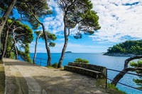 Half-Day Tour In Cavtat with Popara Experience 4