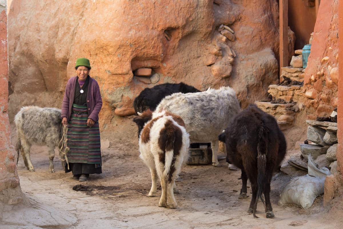 19 Days Mera Peak Climbing & Expedition – One Life-Changing Himalayan Adventure