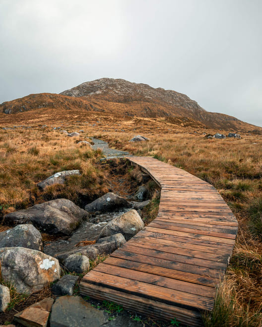 Hill walking the Connemara hills or mountain ranges. Galway. Guided. Half or Full day 5