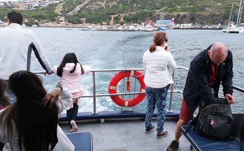 Private Tour of Cape of Good Hope and Kirstenbosch in Cape Town