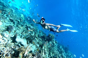 Snorkeling Adventure at Utopia Island from Hurghada
