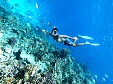 Snorkeling Adventure at Utopia Island from Hurghada