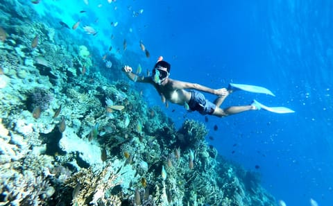 Snorkeling Adventure at Utopia Island from Hurghada