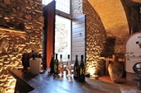 Vineyard Tour and Tasting of Lugana Wines 8