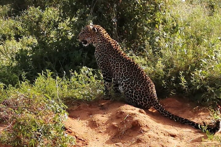 Private 3 Day Tsavo East Safari from Mombasa 9