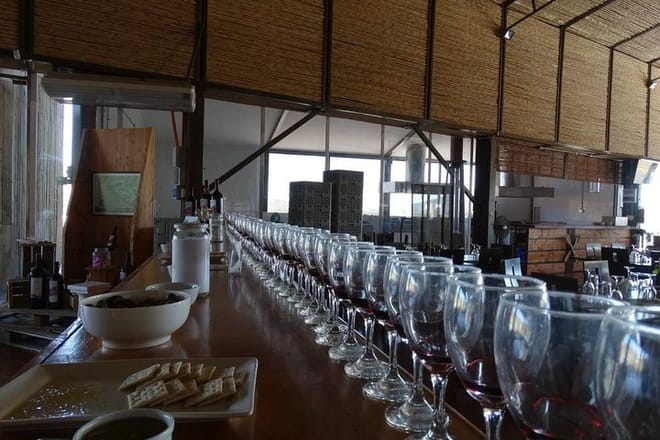 Small Group Best Deal: Viña del mar - Valparaiso - Casablanca Valley And Maipo Valley Wineries in Two Days from Santiago photo 6